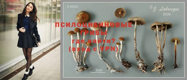 ALPHA-PVP Новодвинск