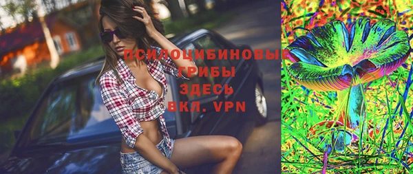 прущие грибы Новозыбков