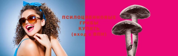 тгк Нефтекумск