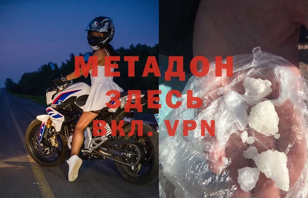 прущие грибы Новозыбков