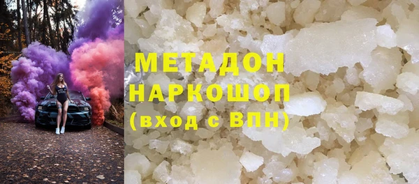 прущие грибы Новозыбков
