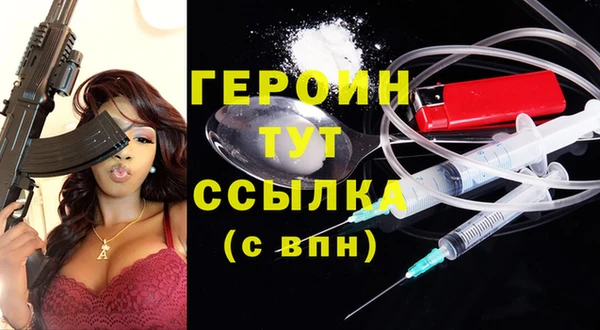 прущие грибы Новозыбков